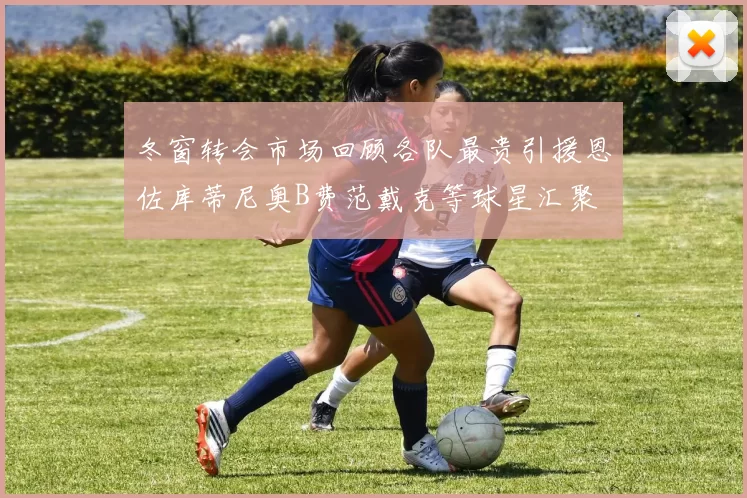 冬窗转会市场回顾各队最贵引援恩佐库蒂尼奥B费范戴克等球星汇聚